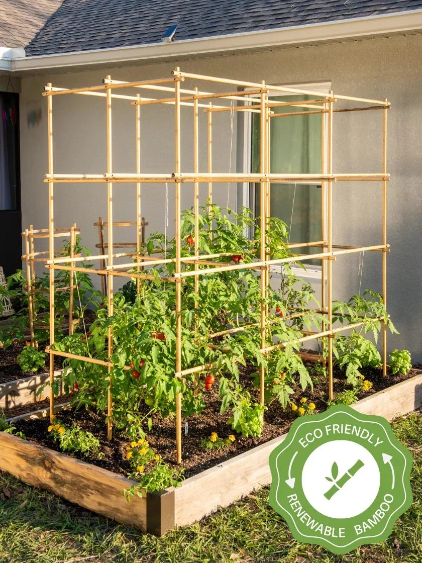 Tomato Six Pack Support Tomato Six Pack Support -Gardene Supply Sales 8613143 23