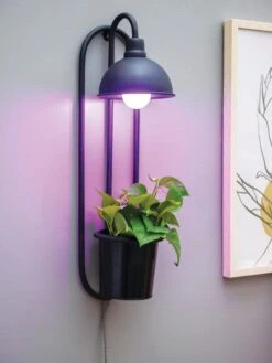 Kira Grow Light Hanging Planter -Gardene Supply Sales 8613232 5659