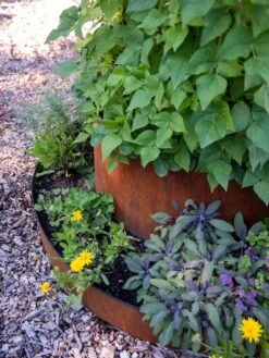 Birdies™ Corten Steel Tiered Round Raised Bed Kit, Tall -Gardene Supply Sales 8613245 0195