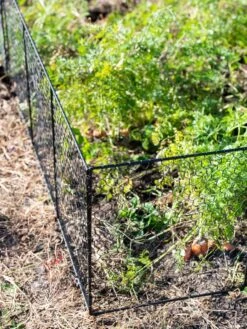 Chicken Wire Critter Fence, 16" High 5 Chicken Wire Critter Fence, 16" High -Gardene Supply Sales 8613249 0309