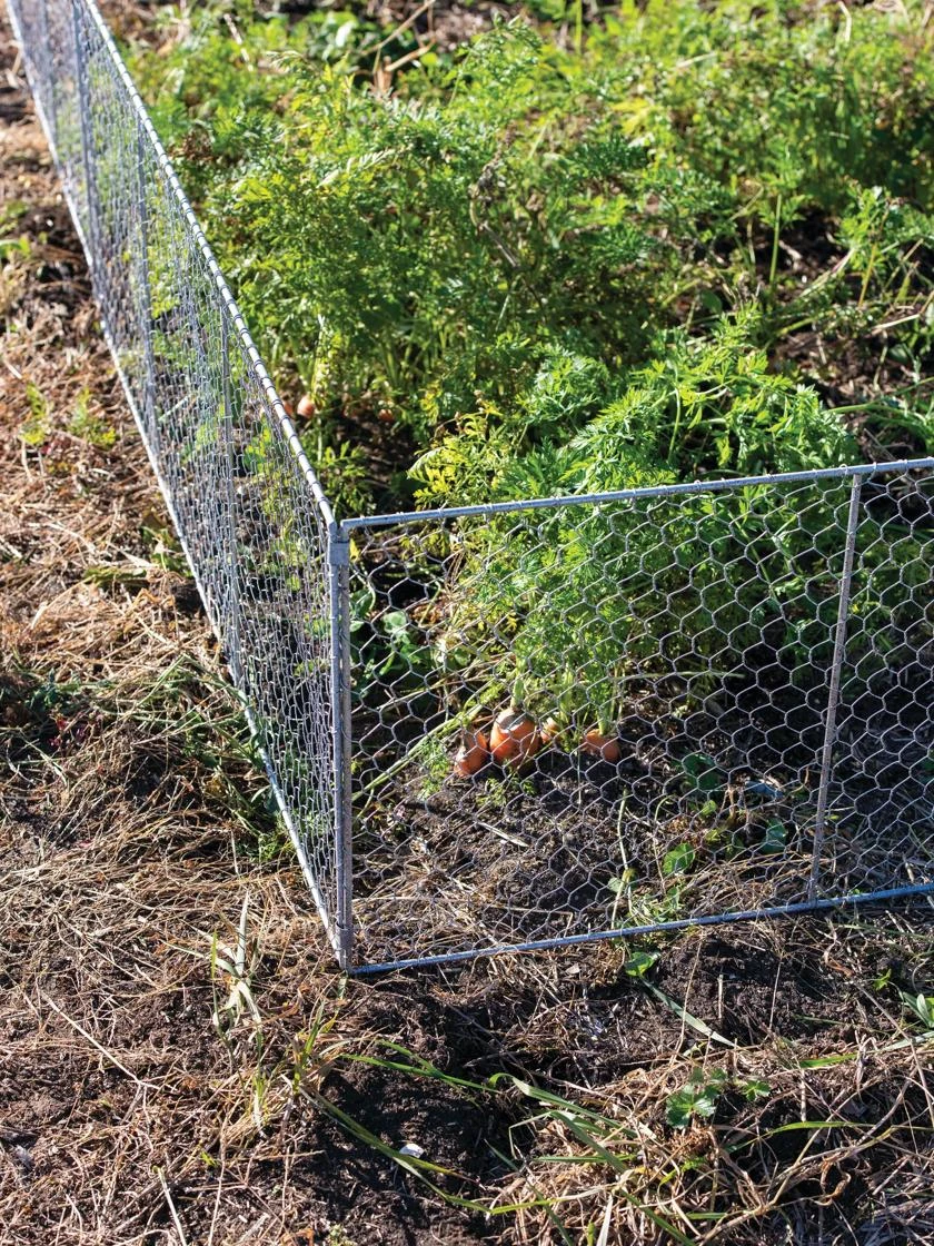 Chicken Wire Critter Fence, 16" High Chicken Wire Critter Fence, 16" High -Gardene Supply Sales 8613249 0358