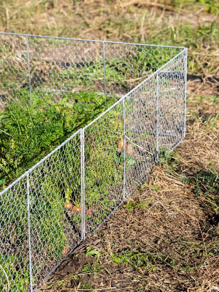 Chicken Wire Critter Fence, 16" High Chicken Wire Critter Fence, 16" High -Gardene Supply Sales 8613249 0368 chicken wire critter fence 16 inches high