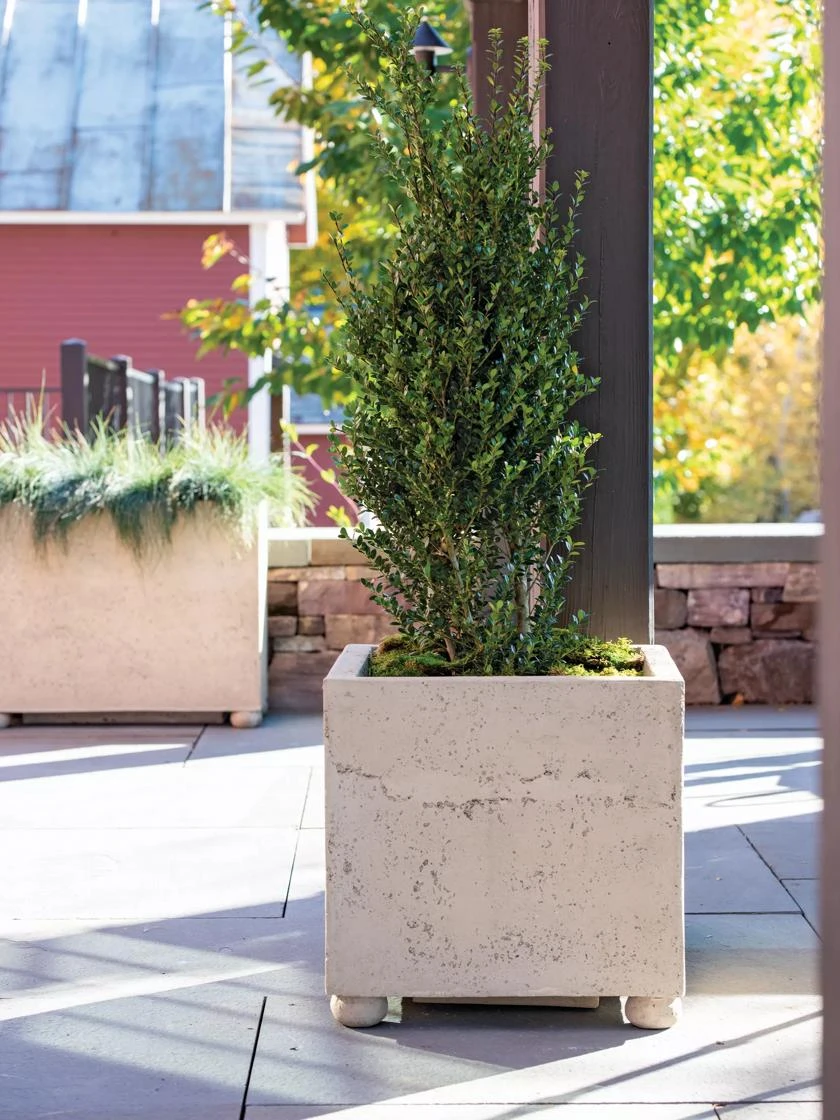 Self-Watering LavaStone® Modern Square Self-Watering LavaStone® Modern Square -Gardene Supply Sales 8613258 0161 self watering lavastone modern square