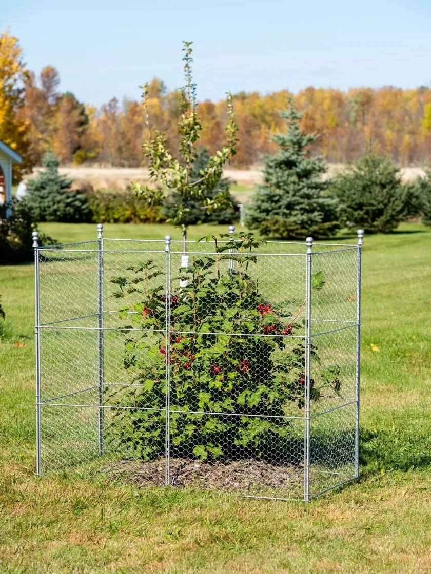 Tall Chicken Wire Critter Fence Extension Panel, Set of 2 Tall Chicken Wire Critter Fence Extension Panel, Set Of 2 -Gardene Supply Sales 8613260 0030 1