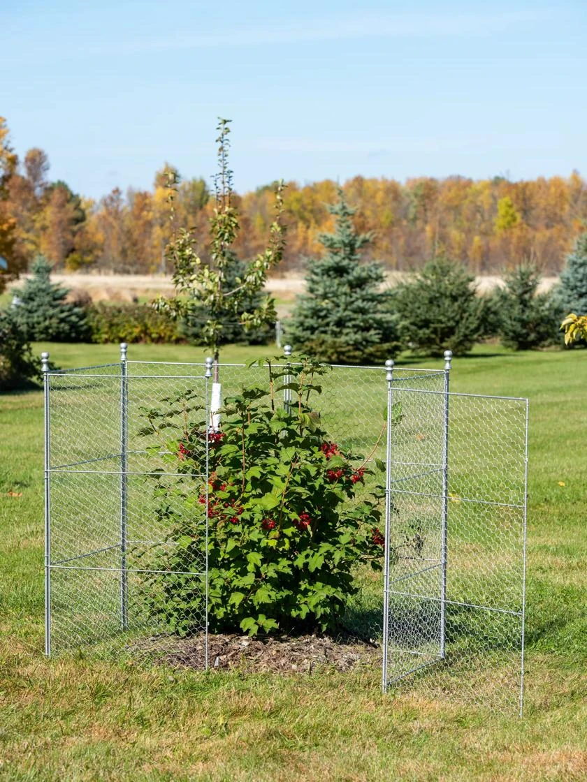 Tall Chicken Wire Critter Fence Extension Panel, Set of 2 Tall Chicken Wire Critter Fence Extension Panel, Set Of 2 -Gardene Supply Sales 8613260 0036