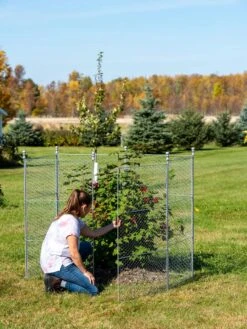 Tall Chicken Wire Critter Fence Extension Panel, Set Of 2 5 Tall Chicken Wire Critter Fence Extension Panel, Set Of 2 -Gardene Supply Sales 8613260 0044 1