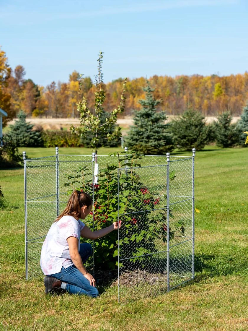 Tall Chicken Wire Critter Fence Extension Panel, Set of 2 Tall Chicken Wire Critter Fence Extension Panel, Set Of 2 -Gardene Supply Sales 8613260 0044 1