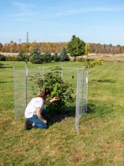 Tall Chicken Wire Critter Fence Extension Panel, Set Of 2 4 Tall Chicken Wire Critter Fence Extension Panel, Set Of 2 -Gardene Supply Sales 8613260 0090