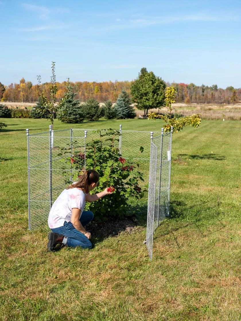 Tall Chicken Wire Critter Fence Extension Panel, Set of 2 Tall Chicken Wire Critter Fence Extension Panel, Set Of 2 -Gardene Supply Sales 8613260 0090