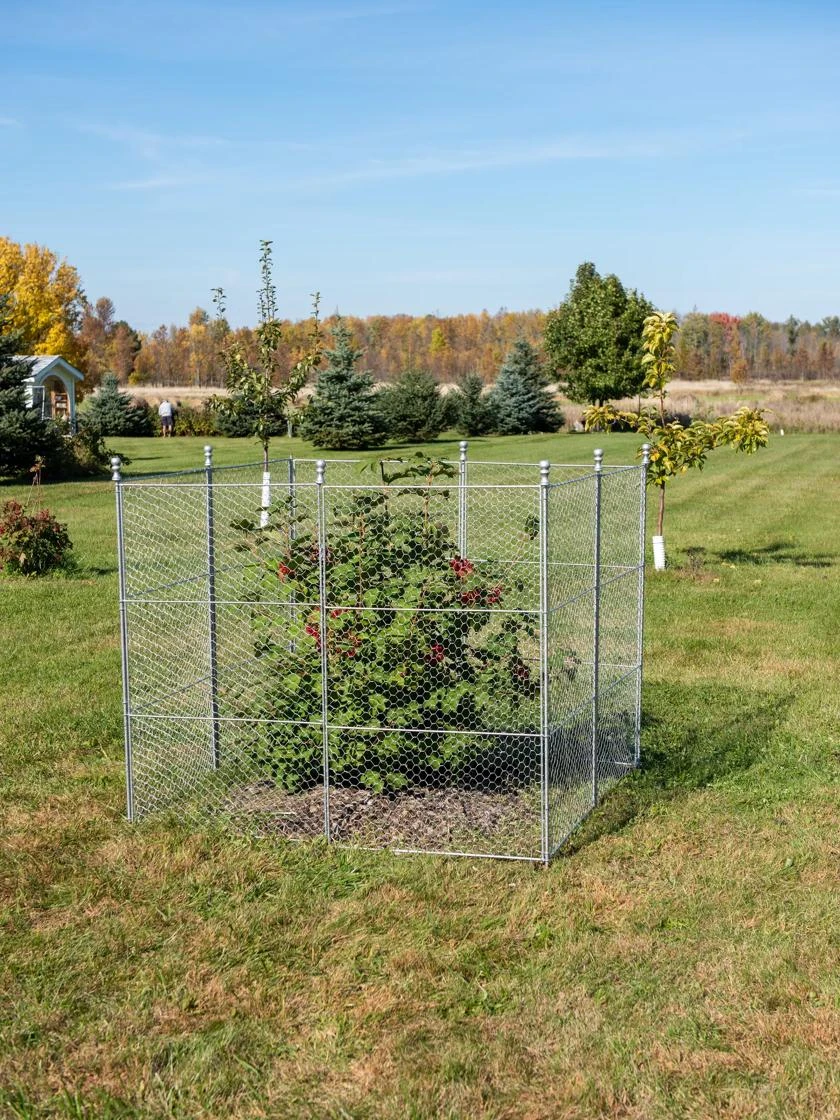 Tall Chicken Wire Critter Fence Extension Panel, Set of 2 Tall Chicken Wire Critter Fence Extension Panel, Set Of 2 -Gardene Supply Sales 8613262 0116