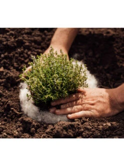 Hortiwool ®, 5 Pad Pack -Gardene Supply Sales 8613263 06v