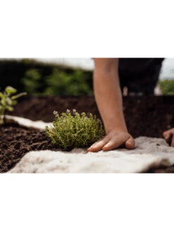 Hortiwool ®, Starter Garden Pad 2 Hortiwool ®, Starter Garden Pad -Gardene Supply Sales 8613263 09v