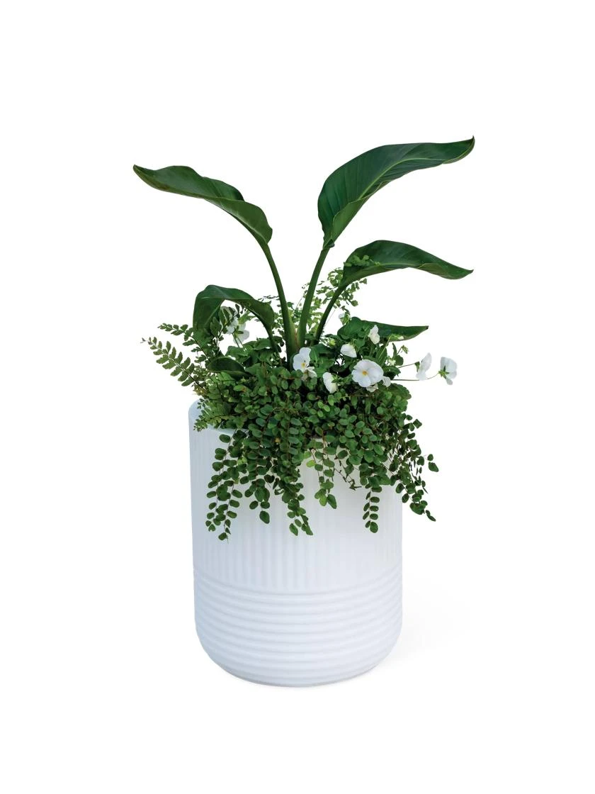 Arden Round Planter Arden Round Planter -Gardene Supply Sales 8613267 0115
