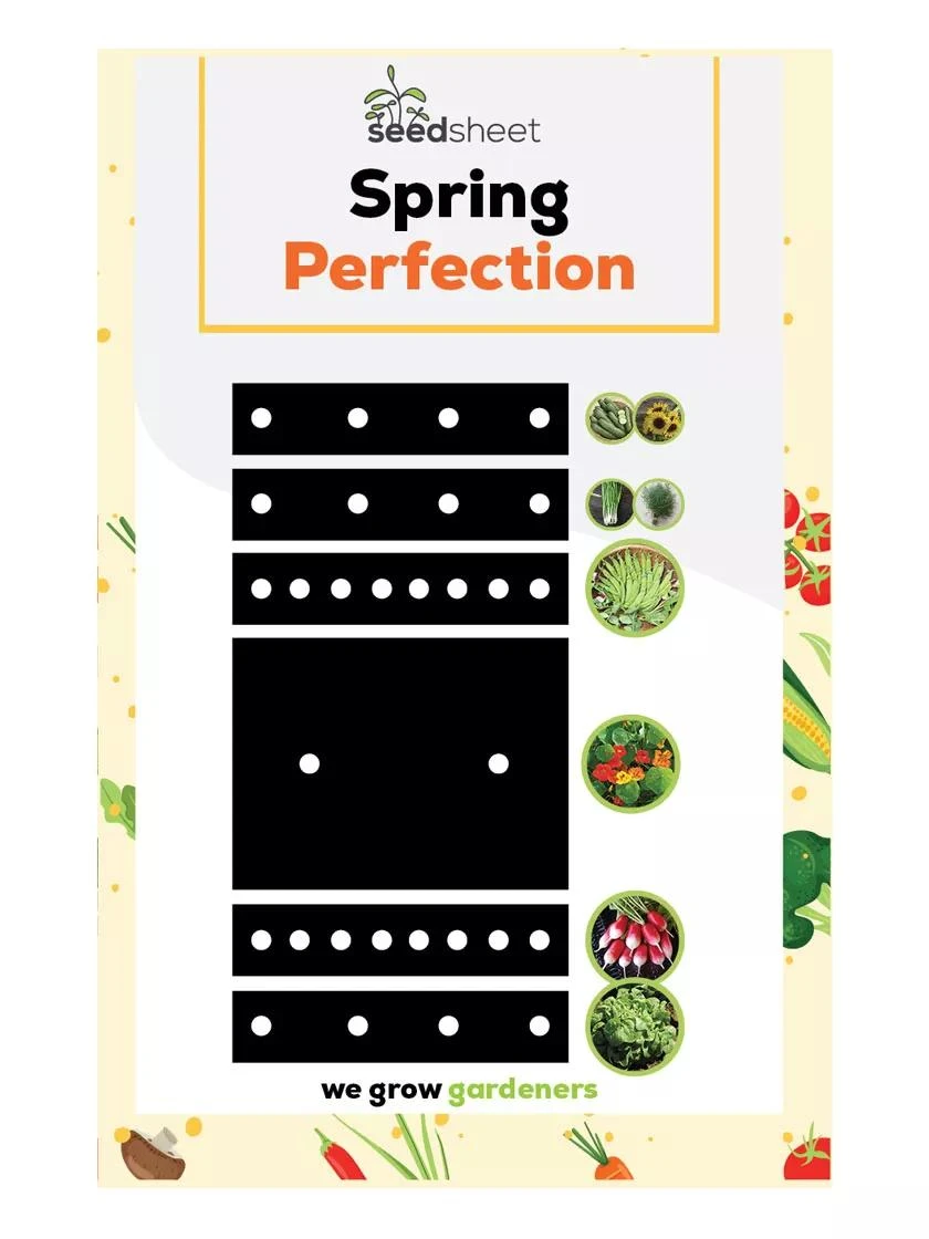 SeedSheets Organic Vegetable Garden, Spring Perfection, 4' X 8' SeedSheets Organic Vegetable Garden, Spring Perfection, 4' X 8' -Gardene Supply Sales 8613297 02V 3 4 seedsheets organic vegetable garden spring perfection 4 feet x 8 feet