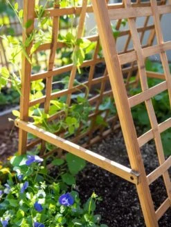 Bambo A Frame Plant Support, 30" X 42.5" -Gardene Supply Sales 8613310 6556