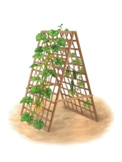 Bambo A Frame Plant Support, 30" X 42.5" -Gardene Supply Sales 8613310 art flat