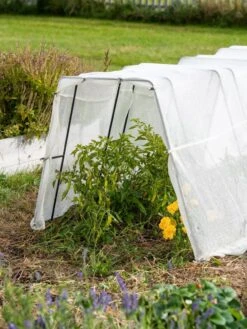 Zenith Garden Hoops, Set Of 4 -Gardene Supply Sales 8613313 0133 1