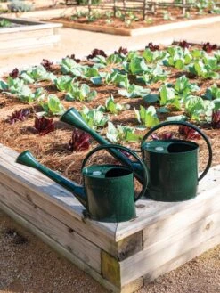 Long Reach Watering Can, Large -Gardene Supply Sales 8613346 0148 1