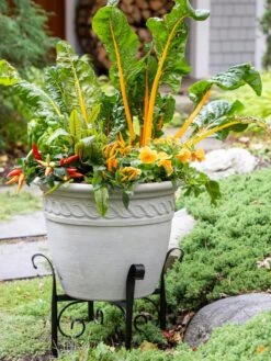 Covington Adjustable Plant Stands -Gardene Supply Sales 8613347 0113