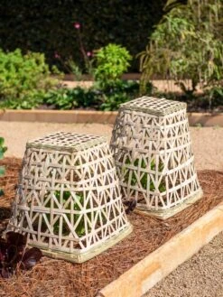 Bamboo Cloche, Set Of 2 -Gardene Supply Sales 8613351 0150 bamboo cloche set of 2