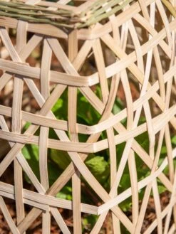 Bamboo Cloche, Set Of 2 -Gardene Supply Sales 8613351 0153