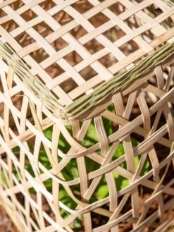 Bamboo Cloche, Set Of 2 -Gardene Supply Sales 8613351 0154