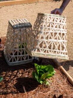 Bamboo Cloche, Set Of 2 -Gardene Supply Sales 8613351 0157