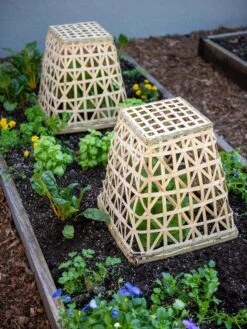 Bamboo Cloche, Set Of 2 -Gardene Supply Sales 8613351 6766