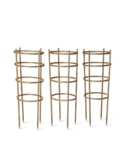Bamboo Tomato Cages, Set Of 3 -Gardene Supply Sales 8613426 4679 bamboo tomato cages 3