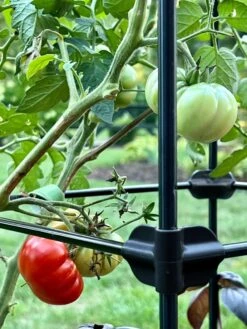Oasis Self-Watering Tomato Planter With Trellis -Gardene Supply Sales 8613440 01TEST