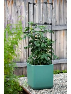 Oasis Self-Watering Tomato Planter With Trellis -Gardene Supply Sales 8613440 0373 3 4