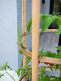 Elevated Bamboo Tomato Planter And Trellis 2 Elevated Bamboo Tomato Planter And Trellis -Gardene Supply Sales 8613502 0423