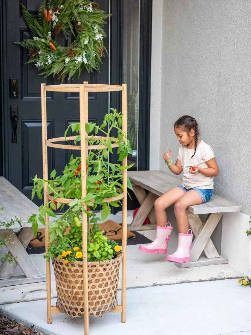 Elevated Bamboo Tomato Planter and Trellis Elevated Bamboo Tomato Planter And Trellis -Gardene Supply Sales 8613502 0449