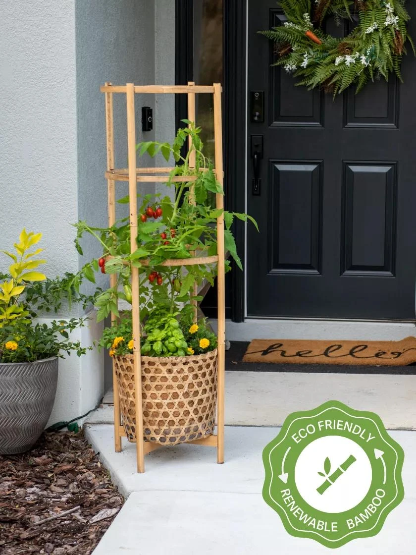 Elevated Bamboo Tomato Planter and Trellis Elevated Bamboo Tomato Planter And Trellis -Gardene Supply Sales 8613502 13