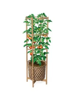Elevated Bamboo Tomato Planter And Trellis 4 Elevated Bamboo Tomato Planter And Trellis -Gardene Supply Sales 8613502 art flat