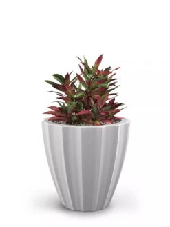 Sedona Round Planter, 18" Diameter 5 Sedona Round Planter, 18" Diameter -Gardene Supply Sales 8613526 05V