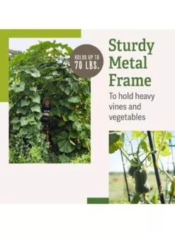 Titan Squash Tunnel 2 Titan Squash Tunnel -Gardene Supply Sales B07932DMCR plantsupport benefits 2