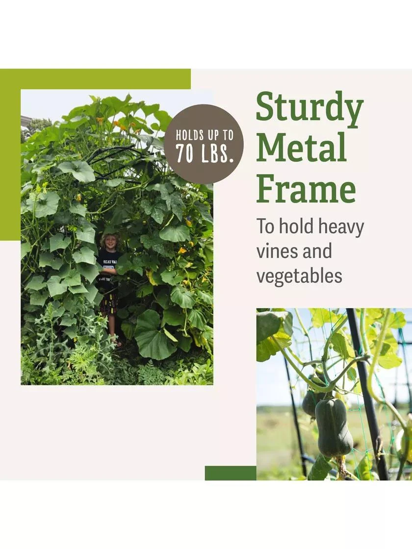 Titan Squash Tunnel Titan Squash Tunnel -Gardene Supply Sales B07932DMCR plantsupport benefits 2