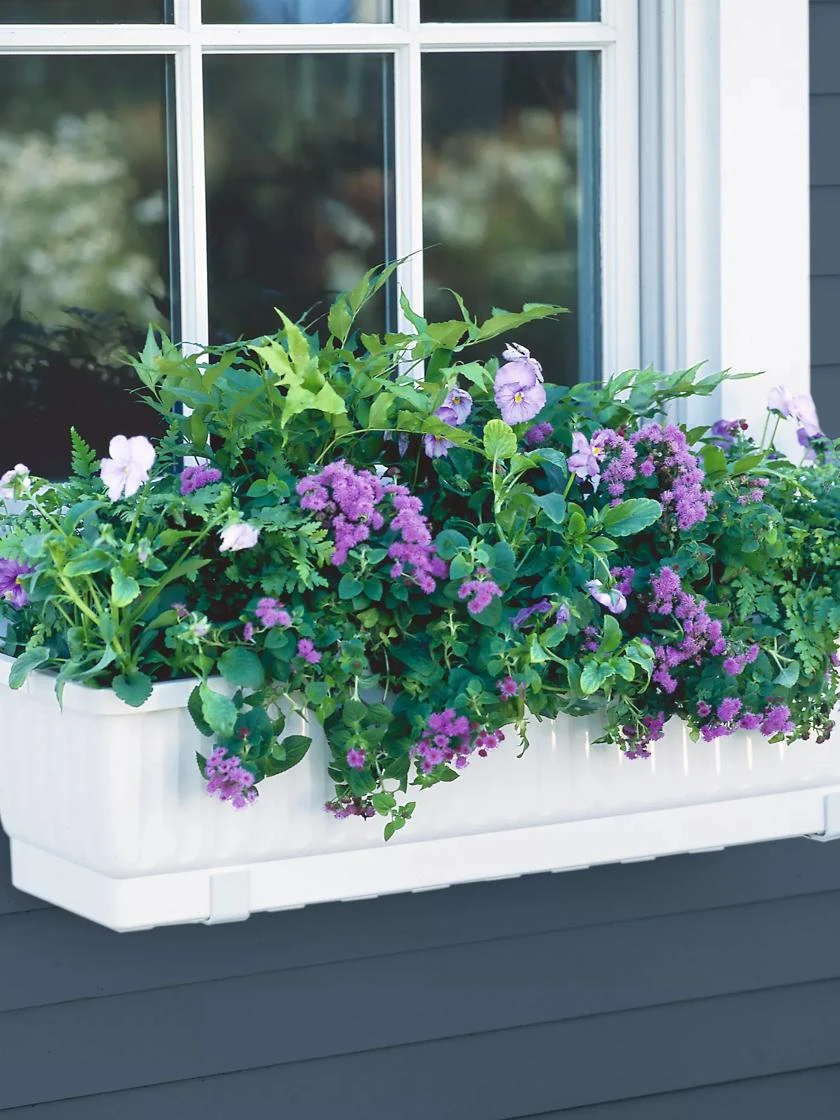 23" Self-Watering Window Box 23" Self-Watering Window Box -Gardene Supply Sales GS34496 02 tif