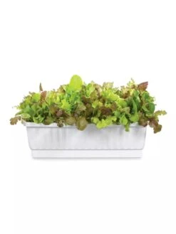 31" Self-Watering Window Box 2 31" Self-Watering Window Box -Gardene Supply Sales GS36523 01Z 3 4