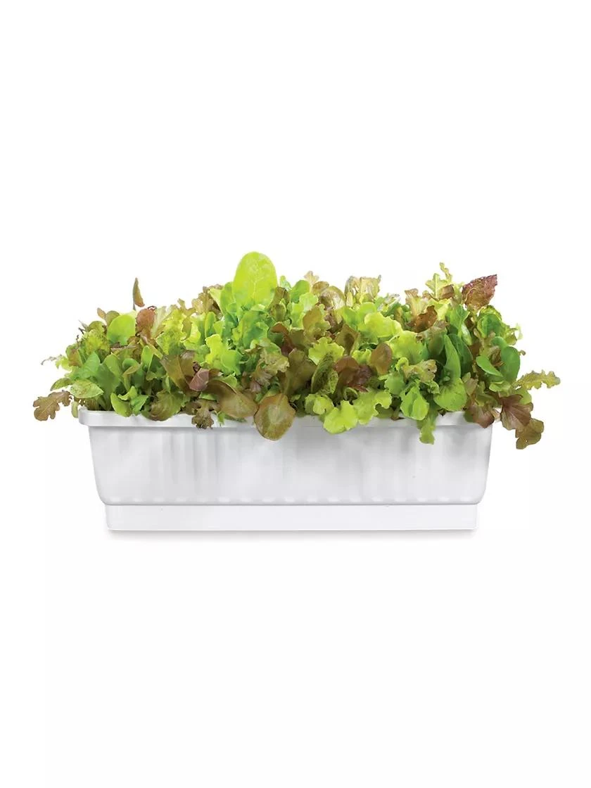 31" Self-Watering Window Box 31" Self-Watering Window Box -Gardene Supply Sales GS36523 01Z 3 4