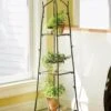Branch Plant Stand
