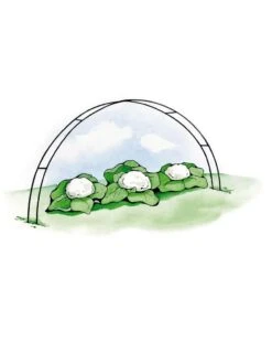 Super Hoops, Set Of 6 -Gardene Supply Sales GS39423 02S 3 4
