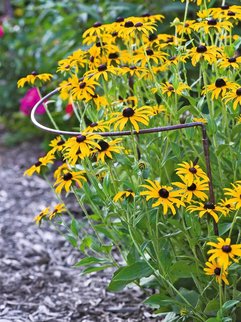 Jardin Half-Round Plant Supports, Set of 2 Jardin Half-Round Plant Supports, Set Of 2 -Gardene Supply Sales GS39523 01 tif