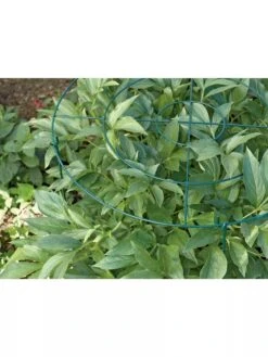 Grow Through Supports, Set Of 3 3 Grow Through Supports, Set Of 3 -Gardene Supply Sales GS40172 01 1