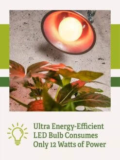 Miracle LED® Absolute Daylight™ Max Flowering Grow Light Bulb -Gardene Supply Sales Miracle Daylight Bulb 2