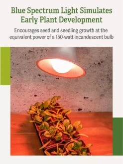 Miracle LED® Absolute Daylight™ Max Flowering Grow Light Bulb -Gardene Supply Sales Miracle Daylight Bulb 4