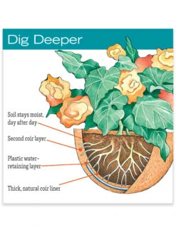 AquaSav™ Replacement Liners, Set Of 3 -Gardene Supply Sales hiw 38 583