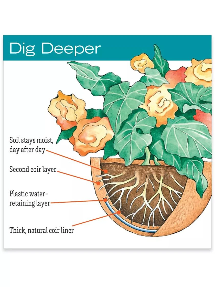 AquaSav™ Oxford Hanging Basket, 18" AquaSav™ Oxford Hanging Basket, 18" -Gardene Supply Sales hiw 38 583 jpg