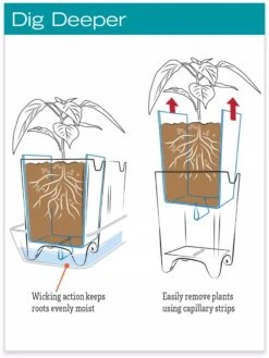 Stoneware Self-Watering Windowsill Planters, Set Of 2 -Gardene Supply Sales hiw 8593943 jpg